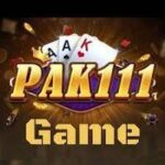 Pak 111 Game